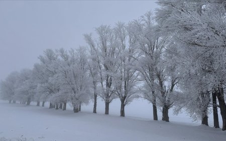 İşte Türkiye'nin en soğuk yeri: -21,3 derece