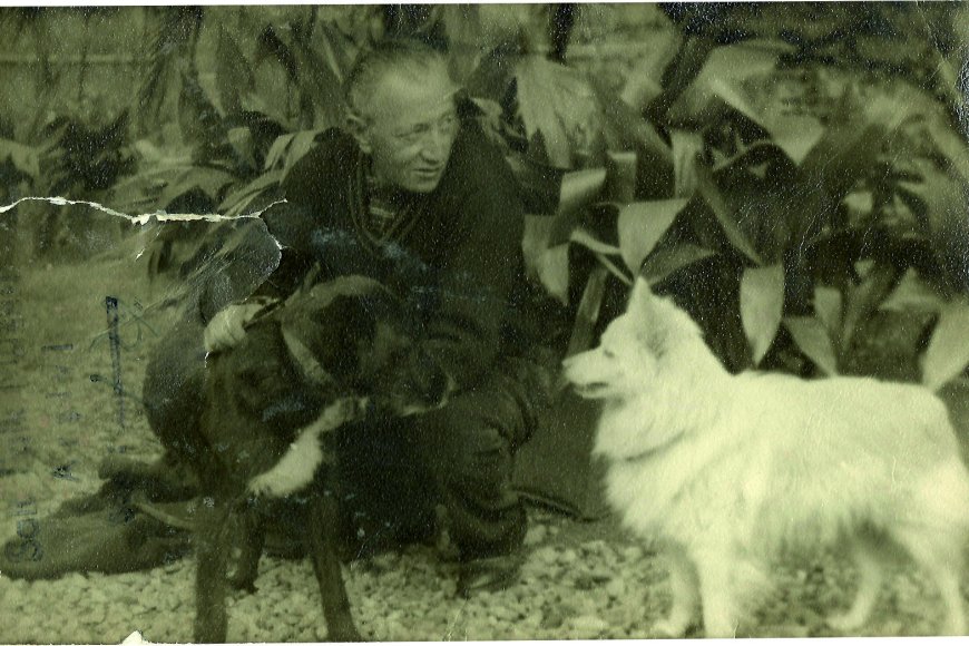 72. Sait Faik Hikâye Armağanı için başvurular başladı